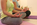 Impressionen Yogaunterricht 8