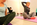 Impressionen Yogaunterricht 13